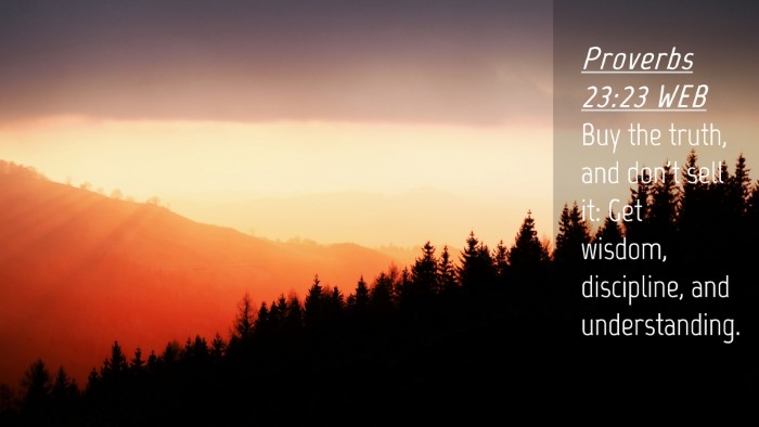 Picture 04 - Proverbs 23:23 WEB Desktop Wallpaper - Buy the truth, and don't sell it: Get wisdom, - Desktop Bible Verse Wallpaper