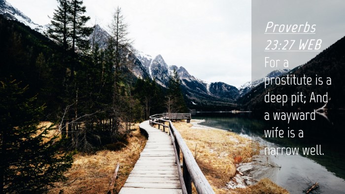 Picture 04 - Proverbs 23:27 WEB Desktop Wallpaper - For a prostitute is a deep pit; And a wayward - Desktop Bible Verse Wallpaper