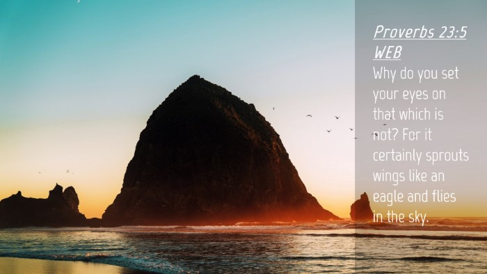 Picture 04 - Proverbs 23:5 WEB Desktop Wallpaper - Why do you set your eyes on that which is not? - Desktop Bible Verse Wallpaper