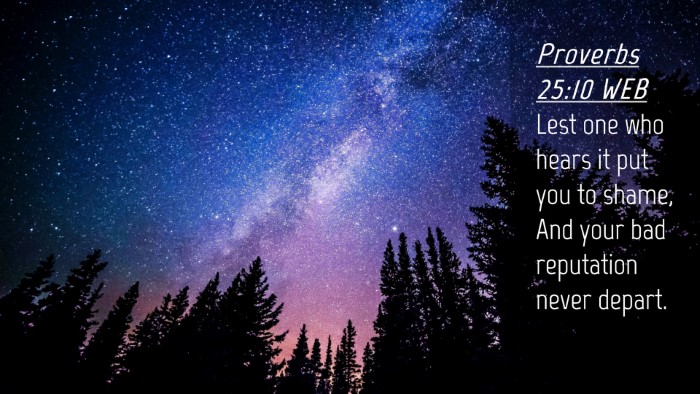 Picture 04 - Proverbs 25:10 WEB Desktop Wallpaper - Lest one who hears it put you to shame, And your - Desktop Bible Verse Wallpaper