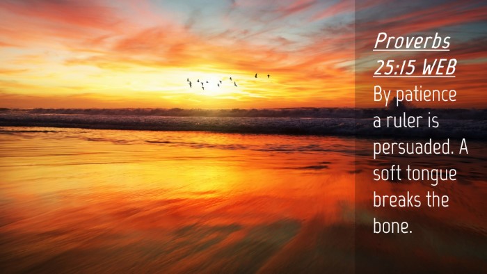 Picture 04 - Proverbs 25:15 WEB Desktop Wallpaper - By patience a ruler is persuaded. A soft tongue - Desktop Bible Verse Wallpaper