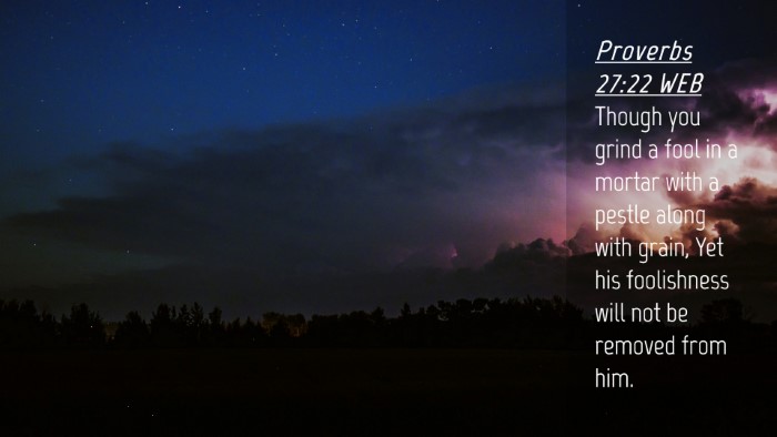 Picture 04 - Proverbs 27:22 WEB Desktop Wallpaper - Though you grind a fool in a mortar with a pestle - Desktop Bible Verse Wallpaper