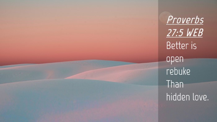 Picture 04 - Proverbs 27:5 WEB Desktop Wallpaper - Better is open rebuke Than hidden - Desktop Bible Verse Wallpaper