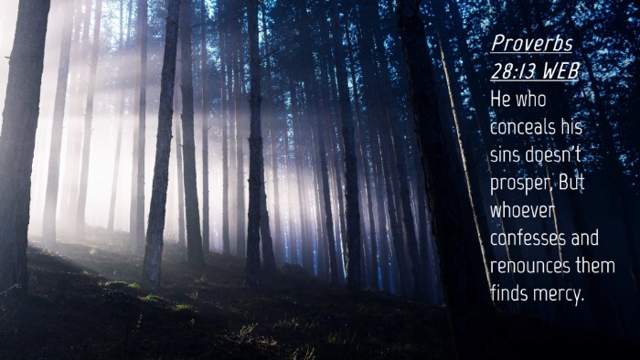 Picture 04 - Proverbs 28:13 WEB Desktop Wallpaper - He who conceals his sins doesn't prosper, But - Desktop Bible Verse Wallpaper