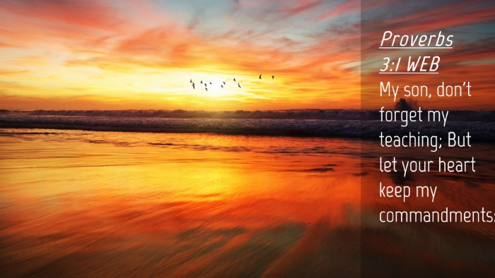 Picture 04 - Proverbs 3:1 WEB Desktop Wallpaper - My son, don't forget my teaching; But let your - Desktop Bible Verse Wallpaper