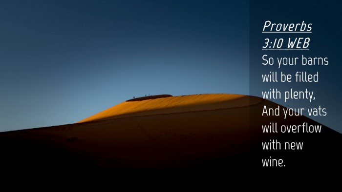 Picture 04 - Proverbs 3:10 WEB Desktop Wallpaper - So your barns will be filled with plenty, And - Desktop Bible Verse Wallpaper