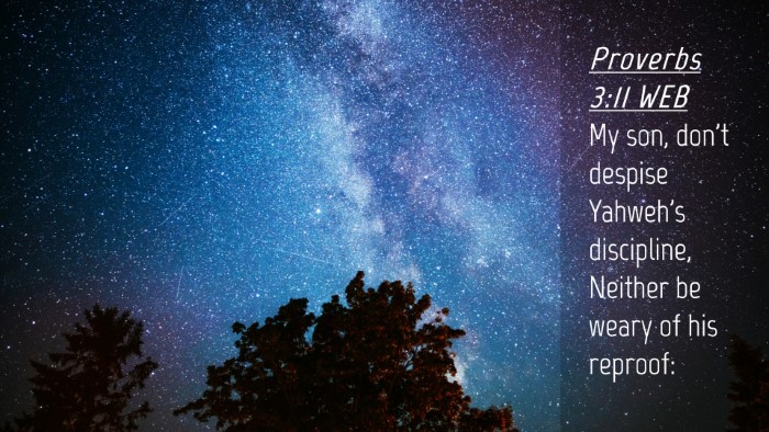 Picture 04 - Proverbs 3:11 WEB Desktop Wallpaper - My son, don't despise Yahweh's discipline, - Desktop Bible Verse Wallpaper
