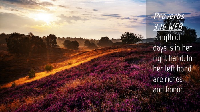 Picture 04 - Proverbs 3:16 WEB Desktop Wallpaper - Length of days is in her right hand. In her left - Desktop Bible Verse Wallpaper
