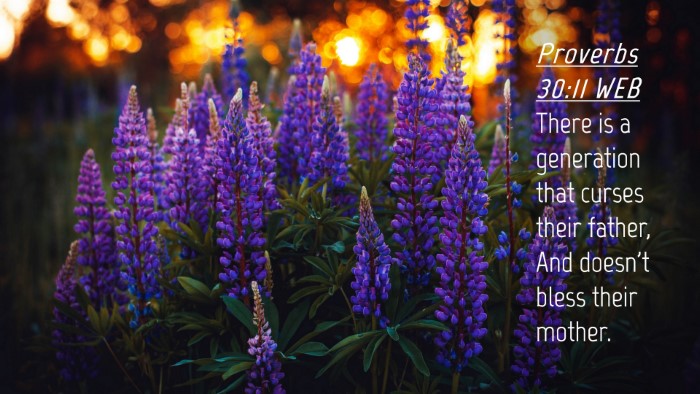 Picture 04 - Proverbs 30:11 WEB Desktop Wallpaper - There is a generation that curses their father, - Desktop Bible Verse Wallpaper