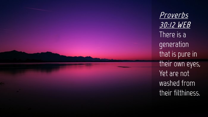 Picture 04 - Proverbs 30:12 WEB Desktop Wallpaper - There is a generation that is pure in their own - Desktop Bible Verse Wallpaper