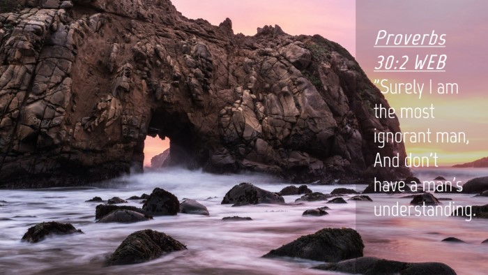 Picture 04 - Proverbs 30:2 WEB Desktop Wallpaper - 