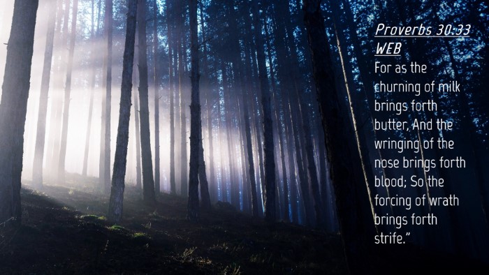 Picture 04 - Proverbs 30:33 WEB Desktop Wallpaper - For as the churning of milk brings forth butter, - Desktop Bible Verse Wallpaper