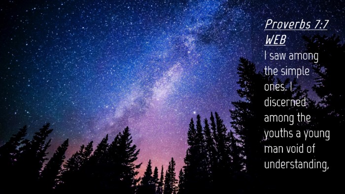 Picture 04 - Proverbs 7:7 WEB Desktop Wallpaper - I saw among the simple ones. I discerned among - Desktop Bible Verse Wallpaper
