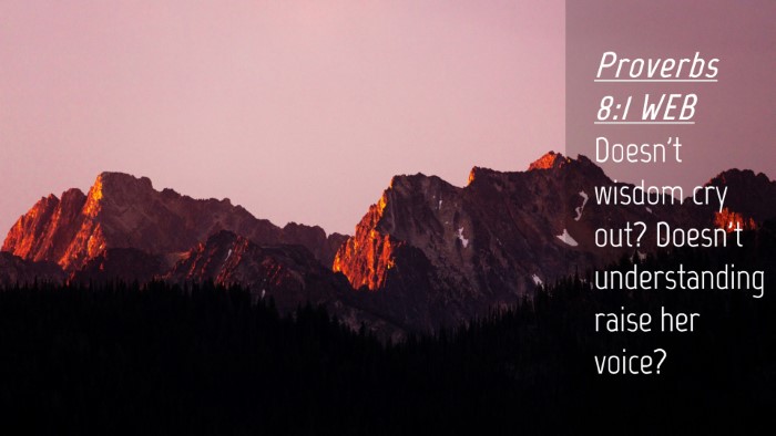 Picture 04 - Proverbs 8:1 WEB Desktop Wallpaper - Doesn't wisdom cry out? Doesn't understanding - Desktop Bible Verse Wallpaper