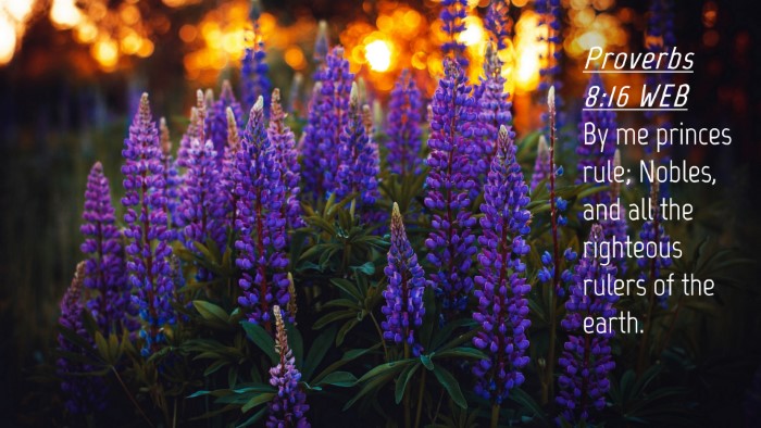 Picture 04 - Proverbs 8:16 WEB Desktop Wallpaper - By me princes rule; Nobles, and all the righteous - Desktop Bible Verse Wallpaper