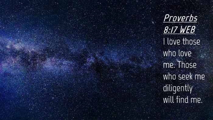 Picture 04 - Proverbs 8:17 WEB Desktop Wallpaper - I love those who love me. Those who seek me - Desktop Bible Verse Wallpaper