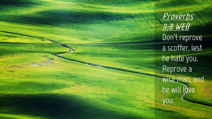 Picture 04 - Proverbs 9:8 WEB Desktop Wallpaper - Don't reprove a scoffer, lest he hate you. - Desktop Bible Verse Wallpaper
