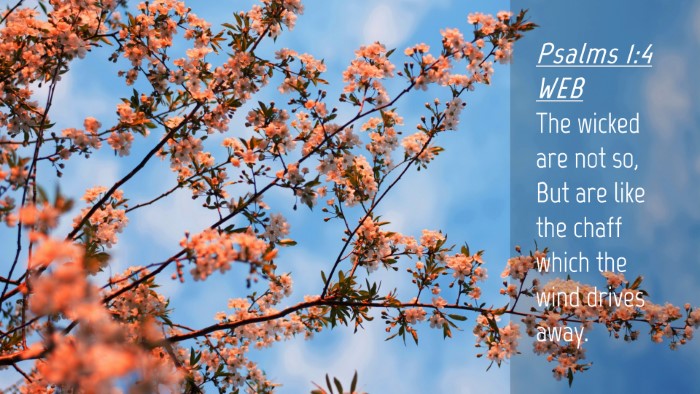 Picture 04 - Psalms 1:4 WEB Desktop Wallpaper - The wicked are not so, But are like the chaff - Desktop Bible Verse Wallpaper