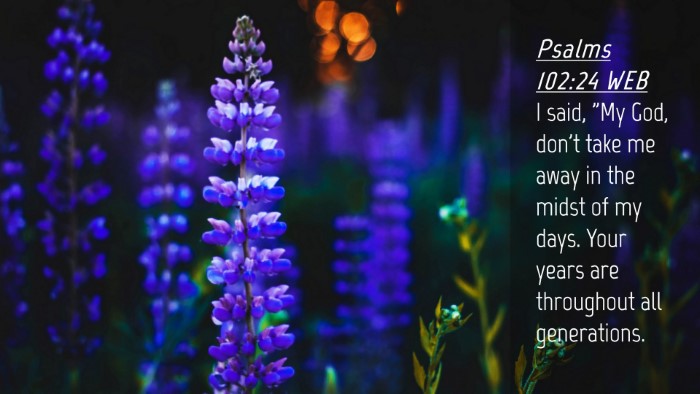 Picture 04 - Psalms 102:24 WEB Desktop Wallpaper - I said, 