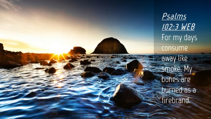 Picture 04 - Psalms 102:3 WEB Desktop Wallpaper - For my days consume away like smoke. My bones are - Desktop Bible Verse Wallpaper