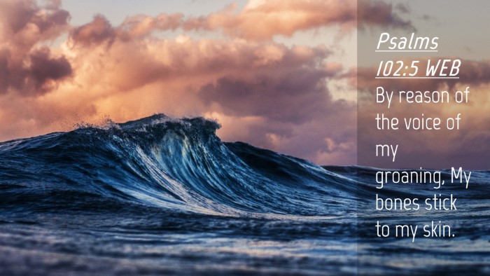 Picture 04 - Psalms 102:5 WEB Desktop Wallpaper - By reason of the voice of my groaning, My bones - Desktop Bible Verse Wallpaper