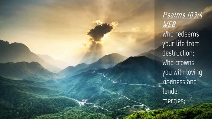 Picture 04 - Psalms 103:4 WEB Desktop Wallpaper - Who redeems your life from destruction; Who - Desktop Bible Verse Wallpaper