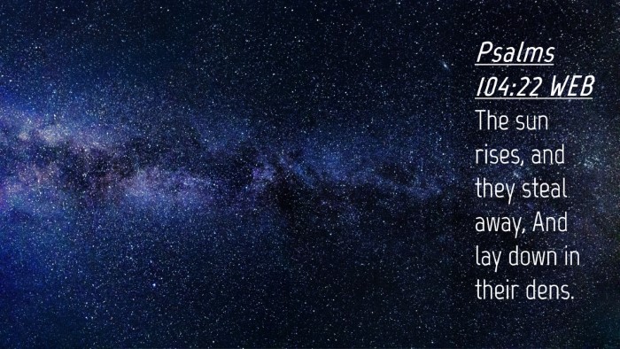 Picture 04 - Psalms 104:22 WEB Desktop Wallpaper - The sun rises, and they steal away, And lay down - Desktop Bible Verse Wallpaper