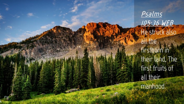 Picture 04 - Psalms 105:36 WEB Desktop Wallpaper - He struck also all the firstborn in their land, - Desktop Bible Verse Wallpaper