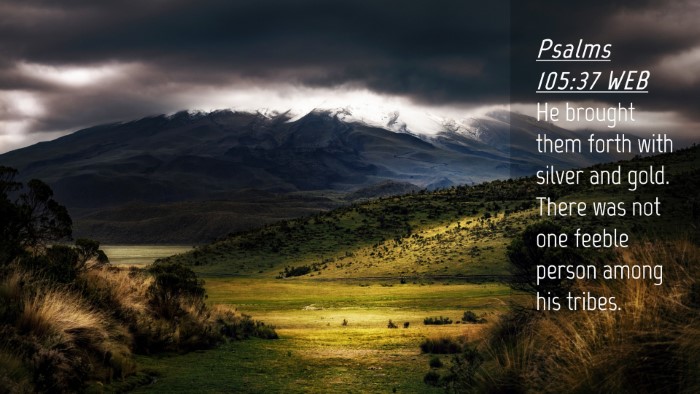 Picture 04 - Psalms 105:37 WEB Desktop Wallpaper - He brought them forth with silver and gold. There - Desktop Bible Verse Wallpaper