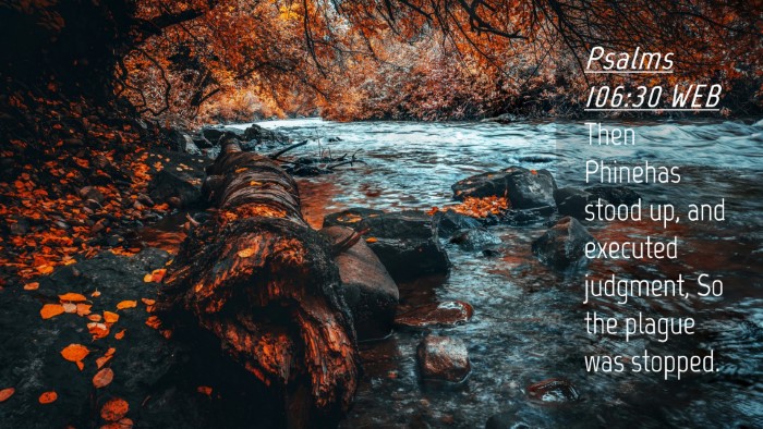 Picture 04 - Psalms 106:30 WEB Desktop Wallpaper - Then Phinehas stood up, and executed judgment, So - Desktop Bible Verse Wallpaper