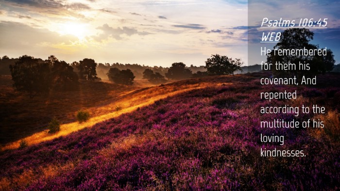 Picture 04 - Psalms 106:45 WEB Desktop Wallpaper - He remembered for them his covenant, And repented - Desktop Bible Verse Wallpaper