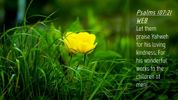 Picture 04 - Psalms 107:21 WEB Desktop Wallpaper - Let them praise Yahweh for his loving kindness, - Desktop Bible Verse Wallpaper