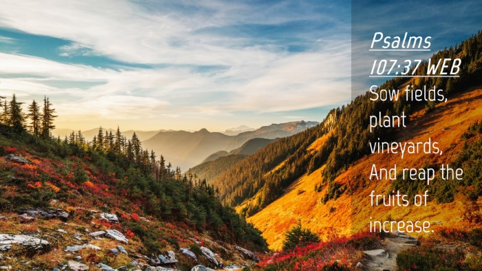 Picture 04 - Psalms 107:37 WEB Desktop Wallpaper - Sow fields, plant vineyards, And reap the fruits - Desktop Bible Verse Wallpaper