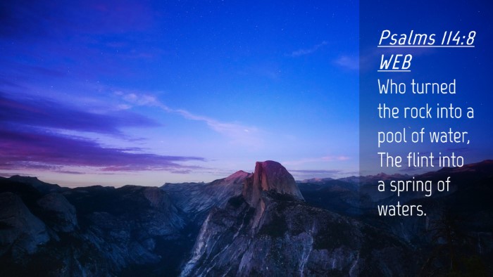 Picture 04 - Psalms 114:8 WEB Desktop Wallpaper - Who turned the rock into a pool of water, The - Desktop Bible Verse Wallpaper