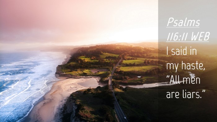 Picture 04 - Psalms 116:11 WEB Desktop Wallpaper - I said in my haste, 