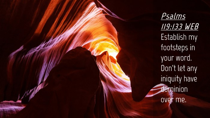 Picture 04 - Psalms 119:133 WEB Desktop Wallpaper - Establish my footsteps in your word. Don't let - Desktop Bible Verse Wallpaper