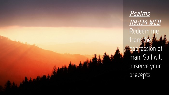Picture 04 - Psalms 119:134 WEB Desktop Wallpaper - Redeem me from the oppression of man, So I will - Desktop Bible Verse Wallpaper