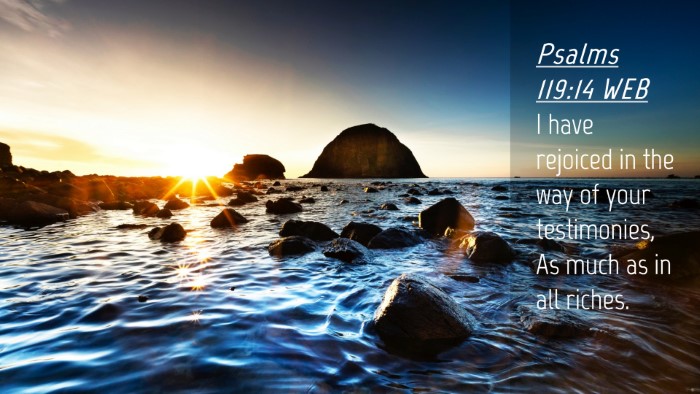 Picture 04 - Psalms 119:14 WEB Desktop Wallpaper - I have rejoiced in the way of your testimonies, - Desktop Bible Verse Wallpaper