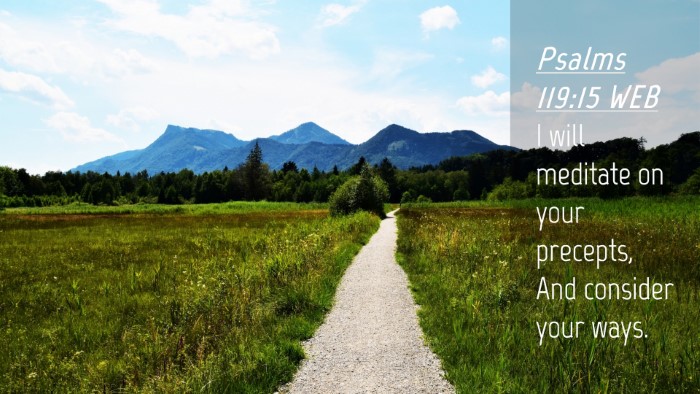Picture 04 - Psalms 119:15 WEB Desktop Wallpaper - I will meditate on your precepts, And consider - Desktop Bible Verse Wallpaper