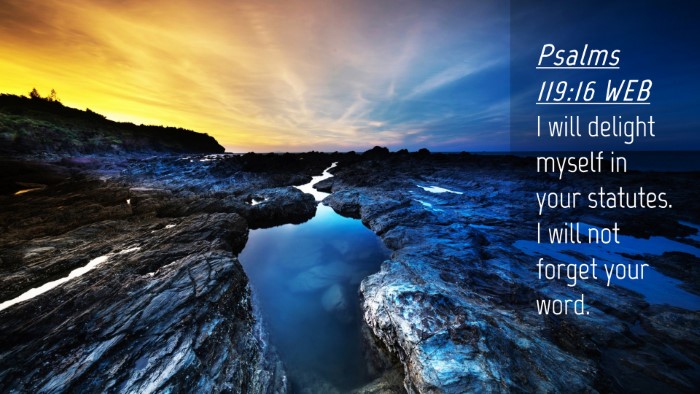 Picture 04 - Psalms 119:16 WEB Desktop Wallpaper - I will delight myself in your statutes. I will - Desktop Bible Verse Wallpaper
