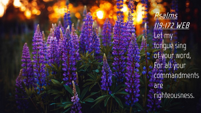 Picture 04 - Psalms 119:172 WEB Desktop Wallpaper - Let my tongue sing of your word, For all your - Desktop Bible Verse Wallpaper