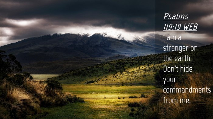 Picture 04 - Psalms 119:19 WEB Desktop Wallpaper - I am a stranger on the earth. Don't hide your - Desktop Bible Verse Wallpaper