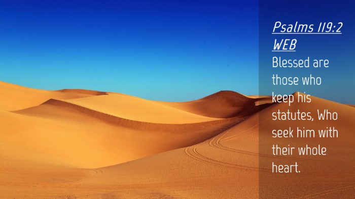 Picture 04 - Psalms 119:2 WEB Desktop Wallpaper - Blessed are those who keep his statutes, Who seek - Desktop Bible Verse Wallpaper