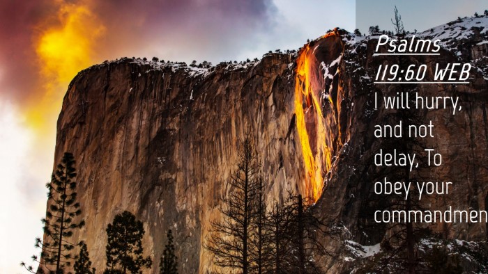 Picture 04 - Psalms 119:60 WEB Desktop Wallpaper - I will hurry, and not delay, To obey your - Desktop Bible Verse Wallpaper