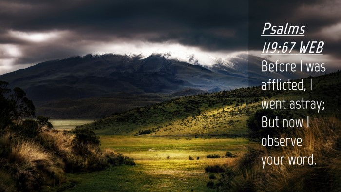 Picture 04 - Psalms 119:67 WEB Desktop Wallpaper - Before I was afflicted, I went astray; But now I - Desktop Bible Verse Wallpaper