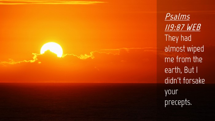 Picture 04 - Psalms 119:87 WEB Desktop Wallpaper - They had almost wiped me from the earth, But I - Desktop Bible Verse Wallpaper