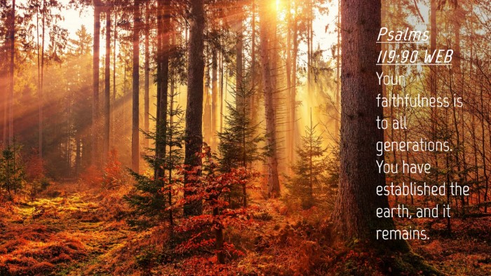 Picture 04 - Psalms 119:90 WEB Desktop Wallpaper - Your faithfulness is to all generations. You have - Desktop Bible Verse Wallpaper