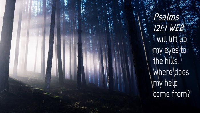Picture 04 - Psalms 121:1 WEB Desktop Wallpaper - I will lift up my eyes to the hills. Where does - Desktop Bible Verse Wallpaper