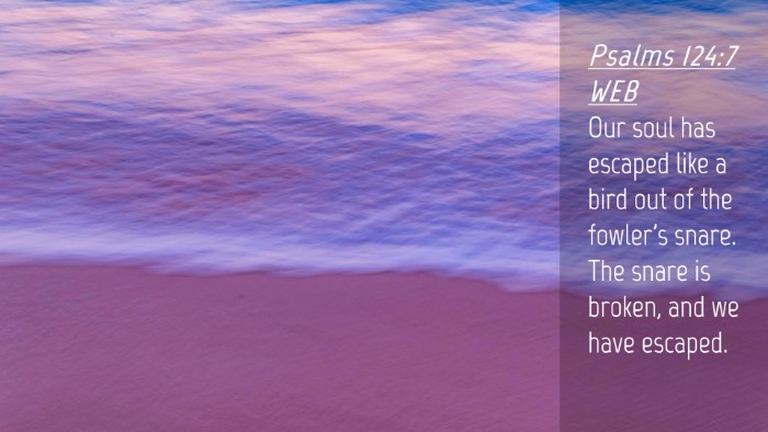 Picture 04 - Psalms 124:7 WEB Desktop Wallpaper - Our soul has escaped like a bird out of the - Desktop Bible Verse Wallpaper