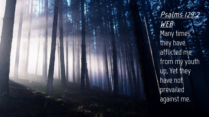 Picture 04 - Psalms 129:2 WEB Desktop Wallpaper - Many times they have afflicted me from my youth - Desktop Bible Verse Wallpaper